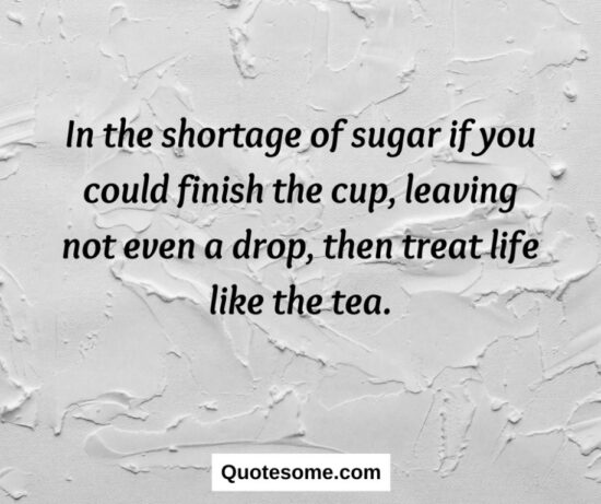 13+ Powerful Aesthetic Quotes About life - Quotesome